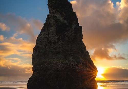 Understanding the Distinctions Between Professional and Amateur Photography